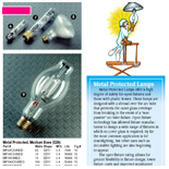 Bulbman General Lighting Catalog page 43